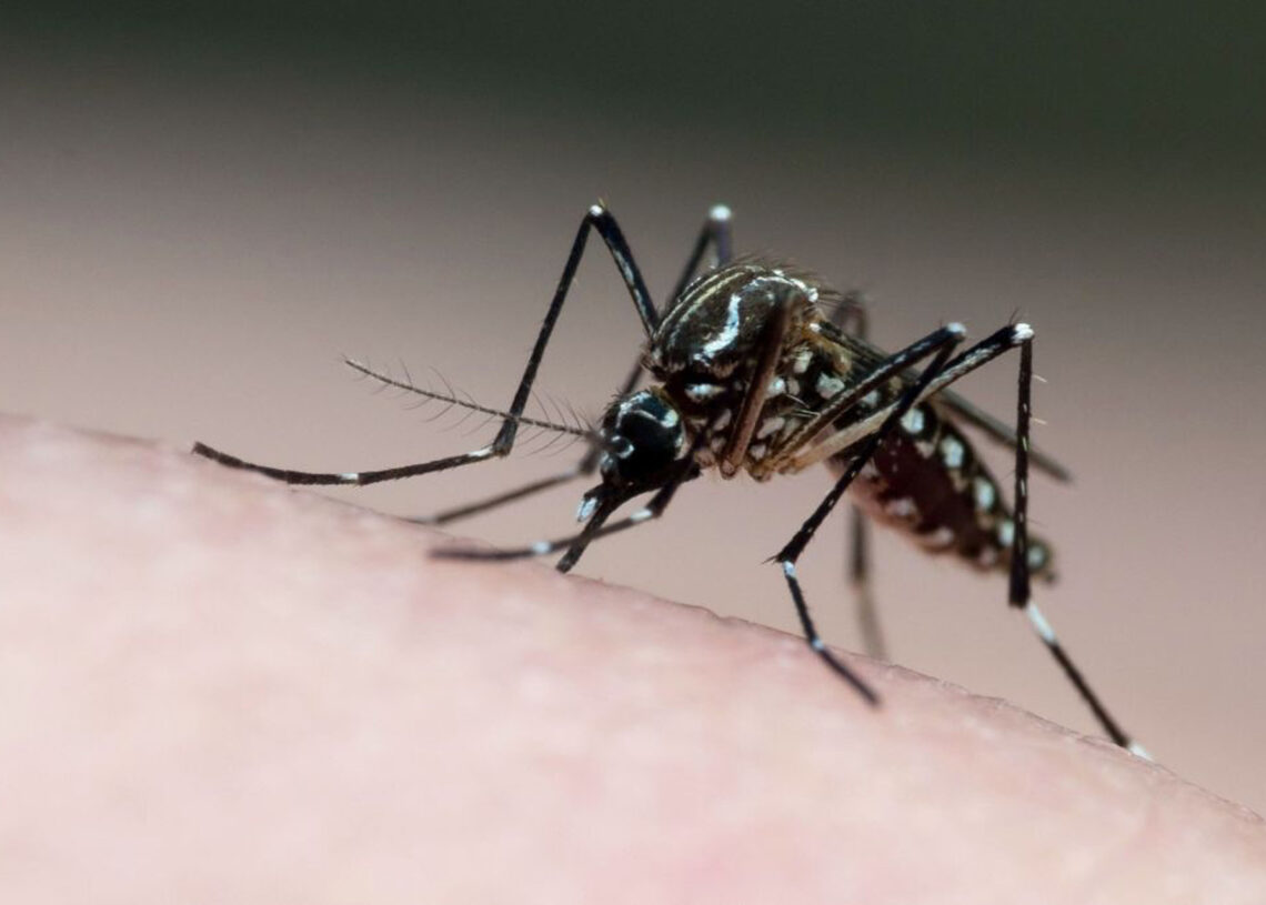 Foto: Reprodução/CNN.