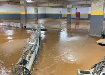 Moradores do Allegrare Caieiras denunciam infiltrações e infestação de pragas