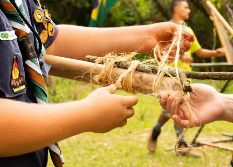 Foto: Reprodução / GECaieiras