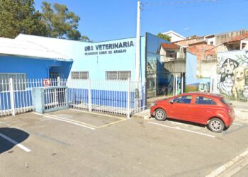 Prefeitura realiza ação de vacinação antirrábica para cães e gatos neste sábado em Caieiras