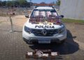 Polícia Militar apreende carga de cigarros irregulares que abasteceria comércio em Caieiras